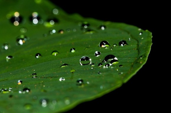 雨