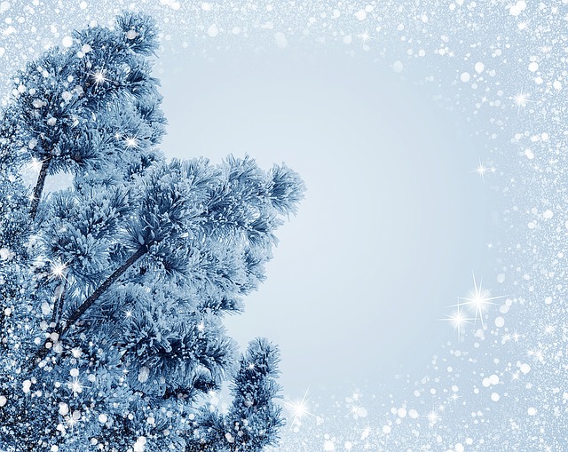 雪