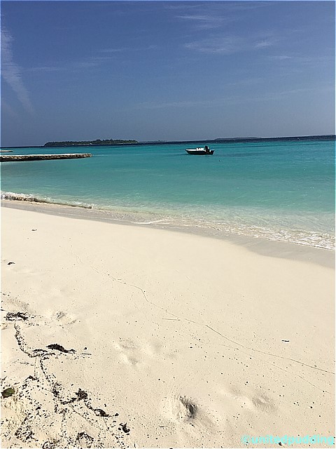 砂浜